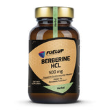 Berberine HCL 500 mg